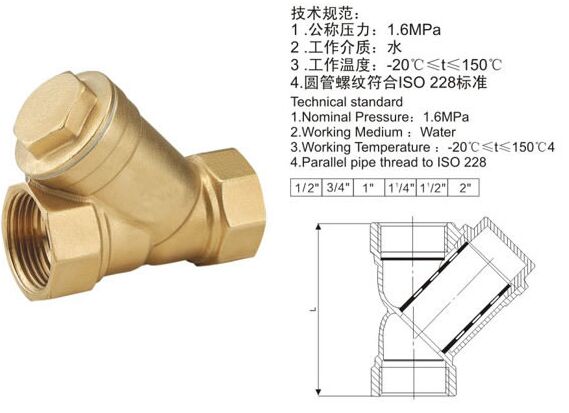 Y���~�^�V��