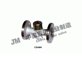 CS49H���(d��ng)��ʽ�A�P(p��n)ʽY(ji��)��������ˮ�y